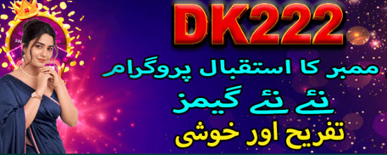 DK222 Game