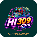 HI 309 Game