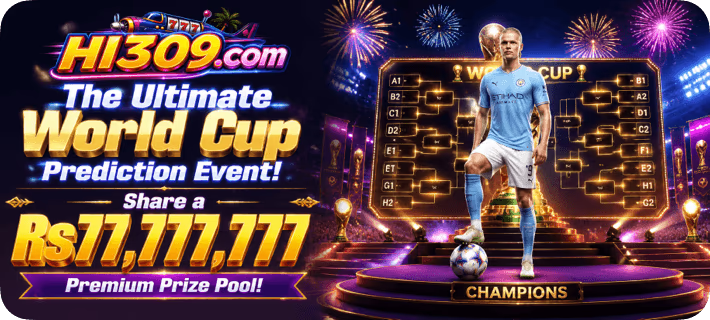 HI 309 Game