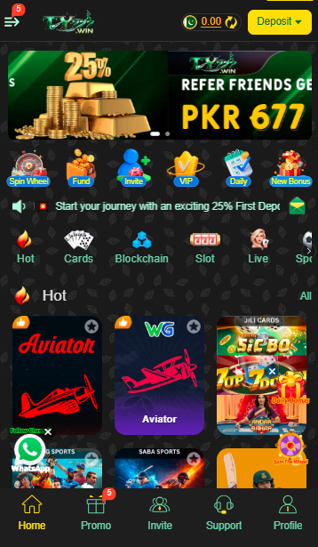 TY 777 Game